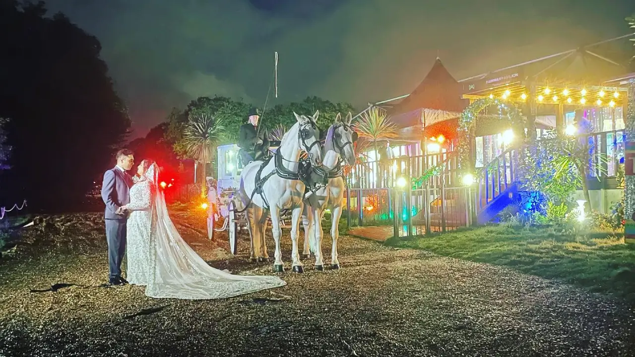 Asian Wedding Horses London | Ascot Carriages