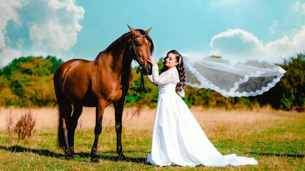 The Importance of Asian Wedding Horses in London